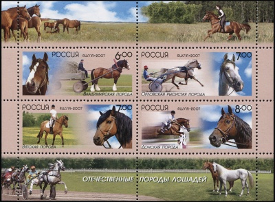 Россия. 2007. Отечественные породы лошадей (Малый Лист. MNH OG)