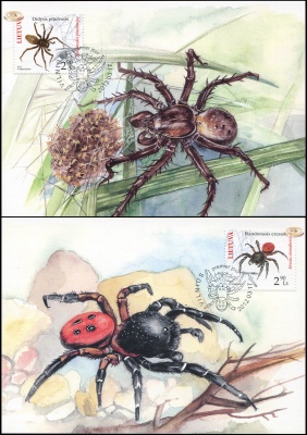 Литва. 2012. Пауки (Серия картмаксимумов. M)