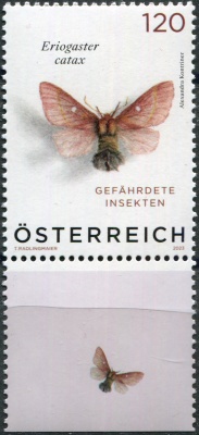 Австрия. 2023. Коконопряд золотистый (Eriogaster catax)(V) (Почтовая марка. MNH OG)