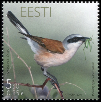 Эстония. 2010. Серый сорокопут (Почтовая марка. MNH OG)