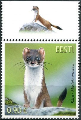 Эстония. 2021. Горностай (Mustela erminea) (III) (Почтовая марка. MNH OG)