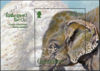 Гернси. 2010. Индийский слон (Блок. MNH OG)