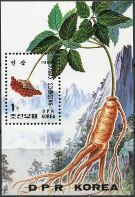 КНДР. 1994. Женьшень ложный (Panax pseudoginseng) (Почтовый блок. MNH OG)
