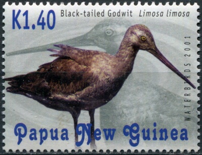 Папуа Новая Гвинея. 2001. Большой веретенник (Почтовая марка. MNH OG)