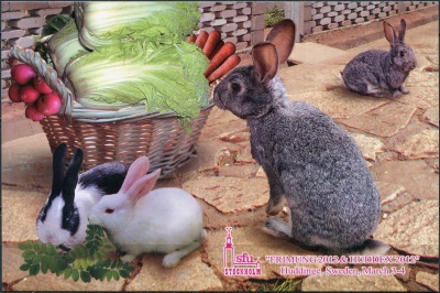 КНДР. 2012. Кролик (надпечатка) (Открытка. Mint)