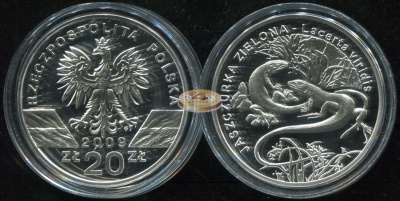 Польша. 20 злотых. 2009 (Proof. Серебро)