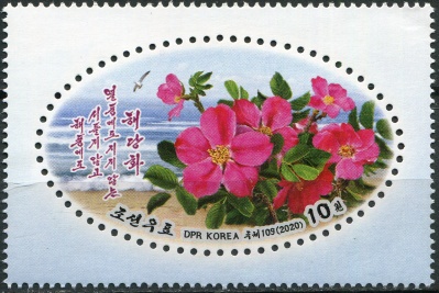 КНДР. 2020. Шиповник красно-бурый (Rosa rubiginosa) (Почтовая марка. MNH OG)