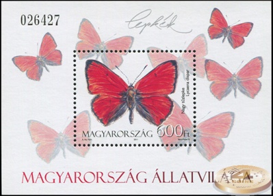 Венгрия. 2011. Бабочки и мотыльки. Большая медь (Lycaena dispar) (Почтовый блок. MNH OG)