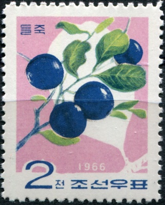 КНДР. 1966. Голубика (Vaccinium uliginosum) (Почтовая марка. MNH)