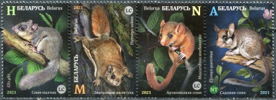Беларусь. 2021. Грызуны (Сцепка. MNH OG)