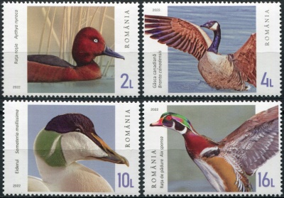 Румыния. 2022. Дикие утки и гуси (Серия Почтовых марок. MNH OG)