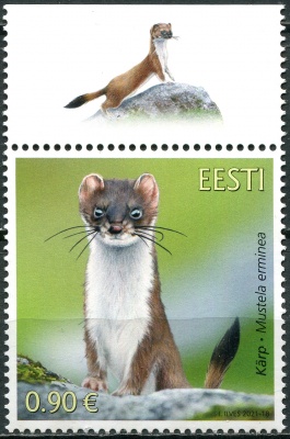 Эстония. 2021. Горностай (Mustela erminea) (Почтовая марка. MNH OG)