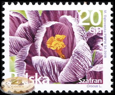 Польша. 2016. Шафран [Crócus] (Почтовая марка. MNH OG)