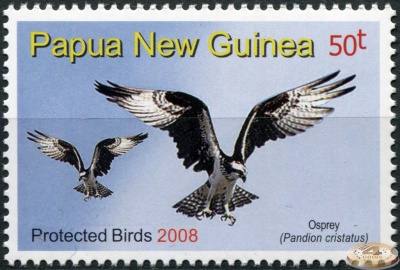 Папуа Новая Гвинея. 2008. Защита птиц. Скопа (Почтовая марка. MNH OG)