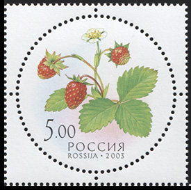 Россия. 2003. Земляника (Почтовая марка. MNH OG)