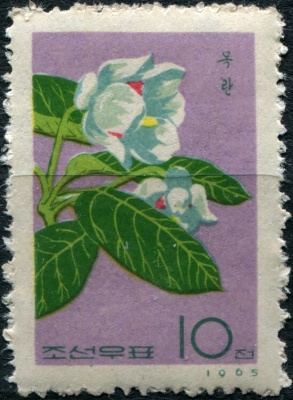 КНДР. 1965. Пион (Paeonia) (Почтовая марка. MNH OG)