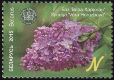 Беларусь. 2015. Сирень 'Вера Хоружая' (Почтовая марка. MNH OG)