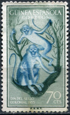 Испанская Гвинея. 1955. Рыжеухая мартышка (Cercopithecus erythrotis) (Почтовая марка. MNG)
