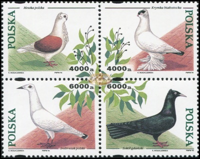 Польша. 1994. Породистые голуби (Квартблок. MNH OG)