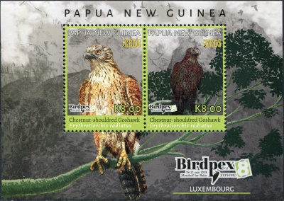 Папуа Новая Гвинея. 2018. Редкие Птицы (Блок. MNH OG)