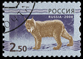 Россия. 2008. Рысь на сине-фиолетовом фоне (Почтовая марка. CTO Гашеная)
