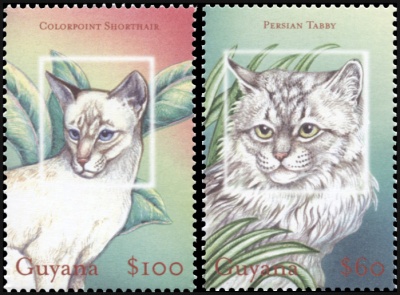Гайана. 2001. Кошки (Серия. MNH OG)