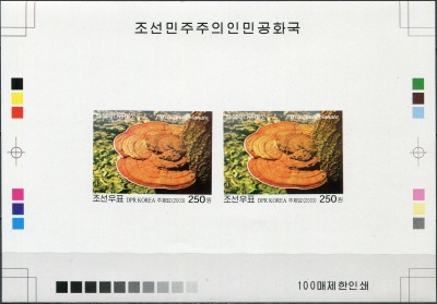 КНДР. 2003. Трутовик плоский (Elfvingia applanata) (Цветопроба. MNH OG. Неперфорированная)