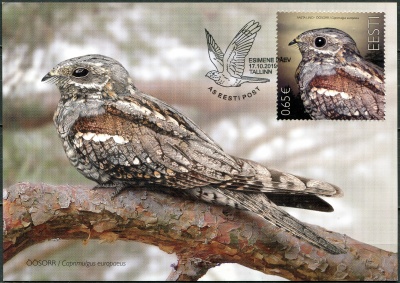 Эстония. 2019. Обыкновенный козодой (Caprimulgus europaeus) (Картмаксимум. Mint)