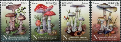 Беларусь. 2022. Ядовитые грибы Беларуси (Серия Почтовых марок. MNH OG)