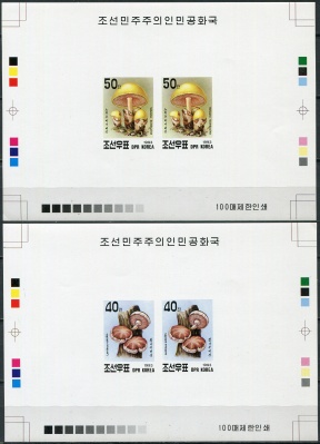 КНДР. 1993. Грибы (Серия Цветопроб. MNH OG. Неперфорированная)