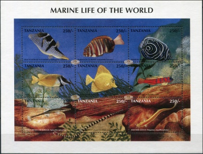 Танзания. 1998. Морская жизнь всего Мира 2 (Малый лист. MNH OG)