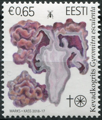 Эстония. 2018. Строчок обыкновенный (Gyromitra esculenta) (Почтовая марка. MNH OG)