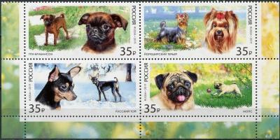 Россия. 2019. Декоративные породы собак (Квартблок. MNH OG)