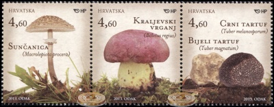 Хорватия. 2013. Съедобные грибы (Сцепка. MNH OG)