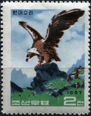 КНДР. 1967. Чёрный гриф (Aegypius monachus) (Почтовая марка. MNH)