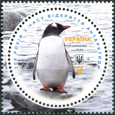 Украина. 2020. Папуанский пингвин (Pygoscelis papua) (Почтовая марка. MNH OG)
