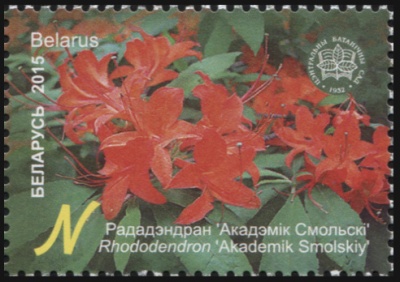 Беларусь. 2015. Рододендрон 'Академик Смольский' (Почтовая марка. MNH OG)
