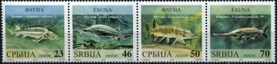 Сербия. 2018. Пресноводные рыбы (Сцепка. MNH OG)
