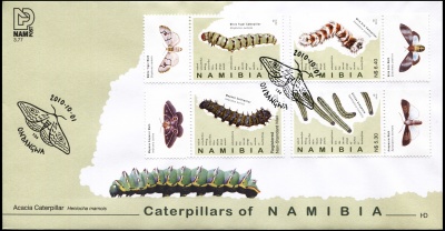 Намибия. 2010. Гусеницы Намибии (Конверт Первого Дня. Mint)