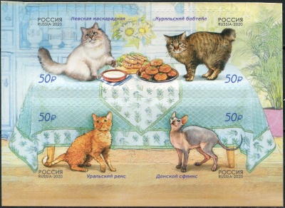 Россия. 2020. Кошки (Квартблок. MNH OG)