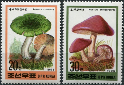 КНДР. 1995. Грибы (Серия Почтовых марок. MNH OG)