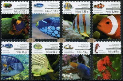 Польша. 2014. Экзотические рыбы (Серия. MNH OG)