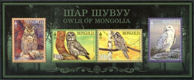 Монголия. 2017. Совы Монголии (Блок. MNH OG)