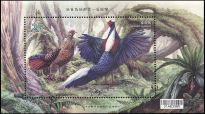 Тайвань. 2014. Фазан Свайно. Птичий разговор (Блок. MNH OG)