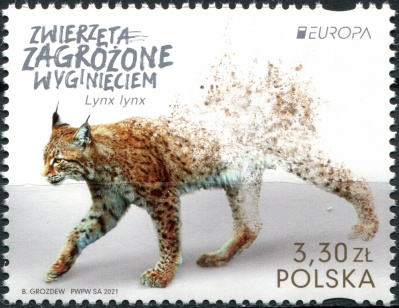 Польша. 2021. Обыкновенная рысь (Lynx lynx) (Почтовая марка. MNH OG)
