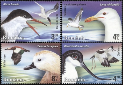 Румыния. 2015. Водоплавающие птицы (Серия. MNH OG)