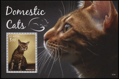 Сент-Китс. 2015. Бенгальская кошка (Блок. MNH OG)