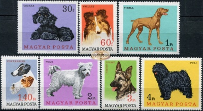 Венгрия. 1967. Собаки (Серия. MNH OG)