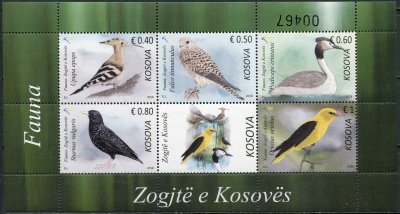 Косово. 2018. Птицы Косово (Малый лист. MNH OG)