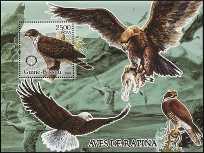 Гвинея-Биссау. 2005. Хищные птицы (Блок. MNH OG)